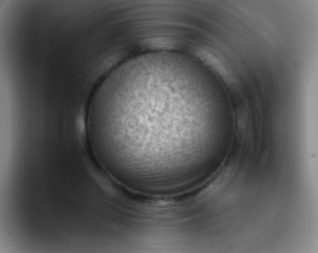 X0000091470398200709241309