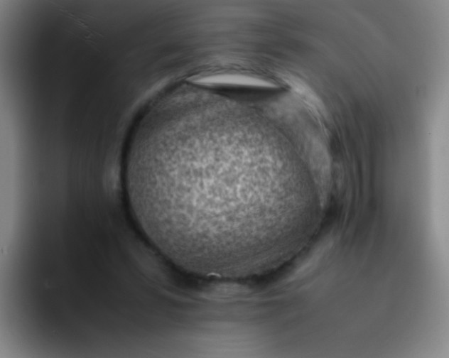 X0000091470399200709241309