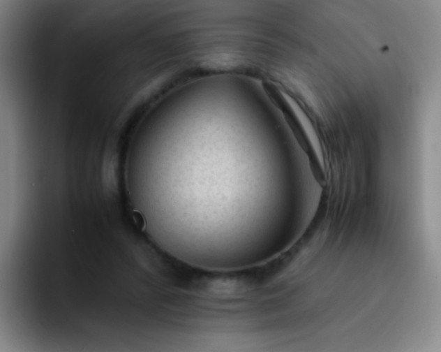 X0000091470400200709241309