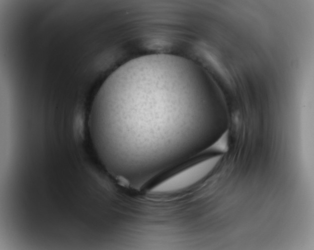 X0000091470404200709241309