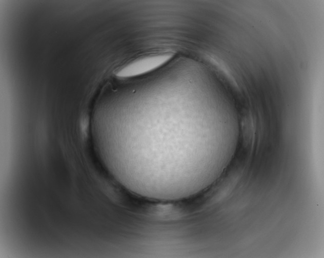 X0000091470406200709241309