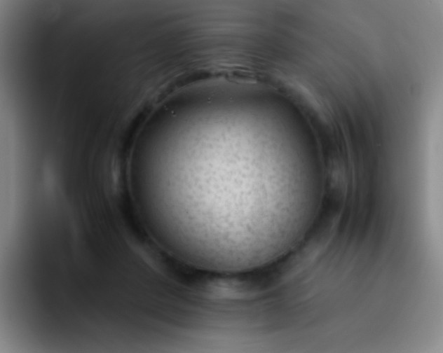 X0000091470408200709241309