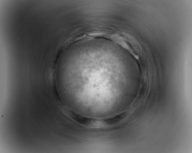 X0000091470409200709241309