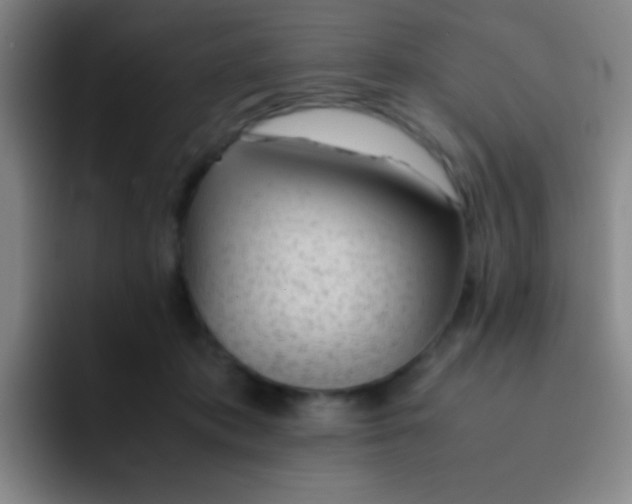 X0000091470413200709241309