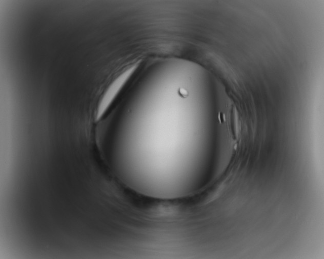 X0000091470416200709241309