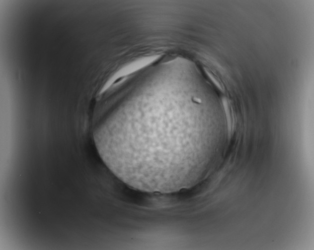 X0000091470417200709241309