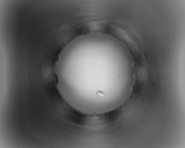 X0000091470419200709241309