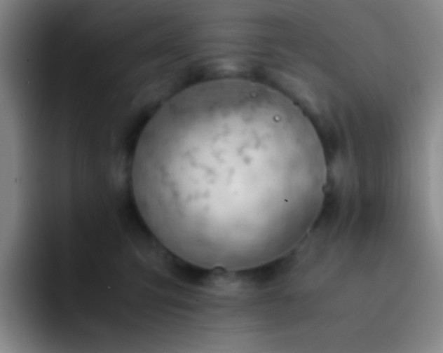 X0000091470423200709241309