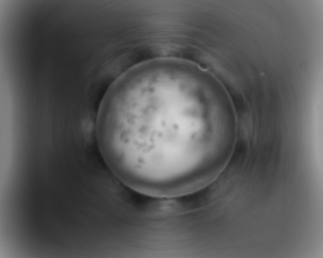 X0000091470427200709241309