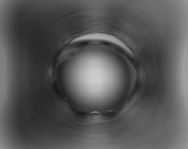 X0000091470428200709241309