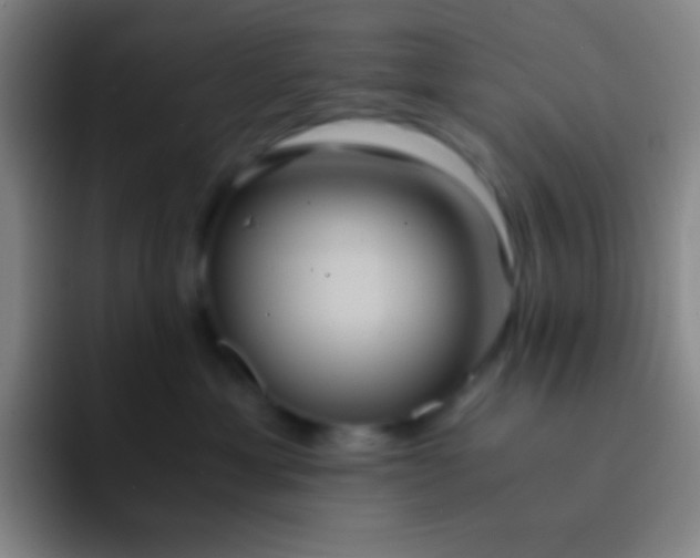 X0000091470429200709241309