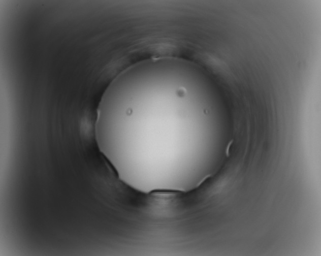 X0000091470432200709241309