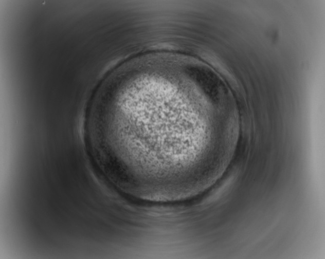 X0000091470434200709241308