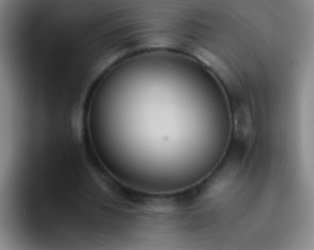 X0000091470436200709241308