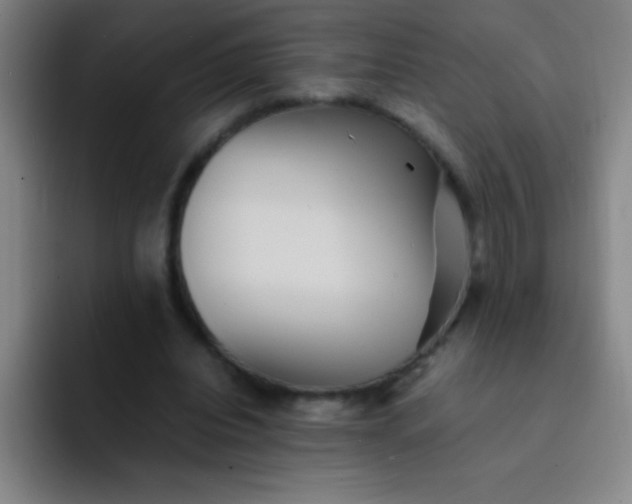 X0000091470440200709241308