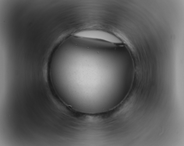 X0000091470442200709241308