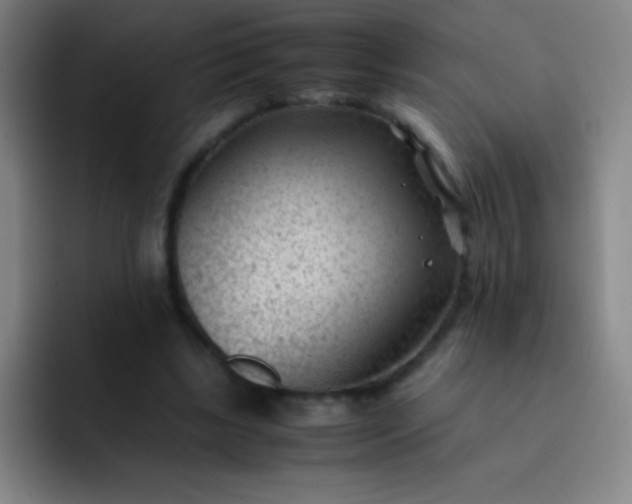 X0000091470443200709241308