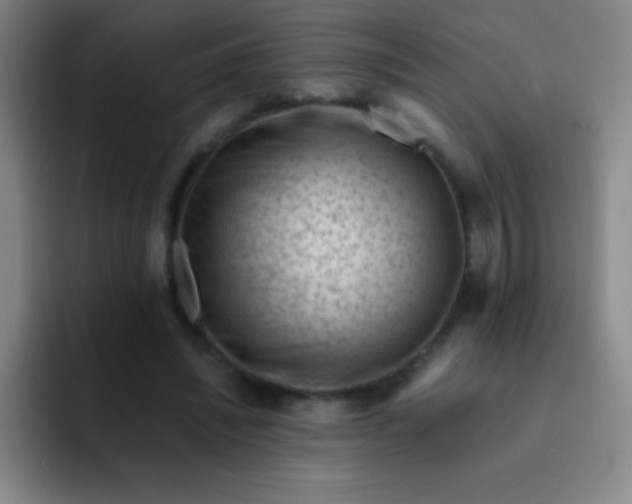 X0000091470444200709241308