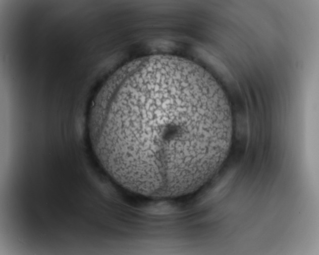 X0000091470451200709241308