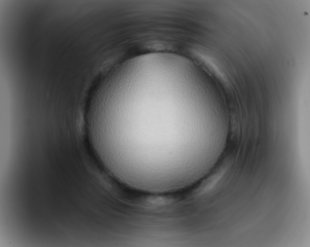 X0000091470453200709241308