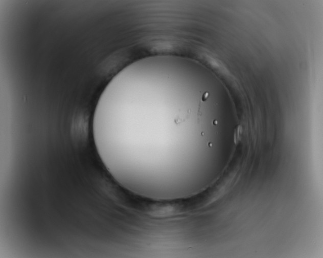 X0000091470454200709241308