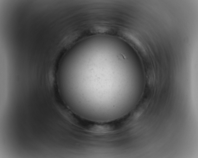 X0000091470455200709241308