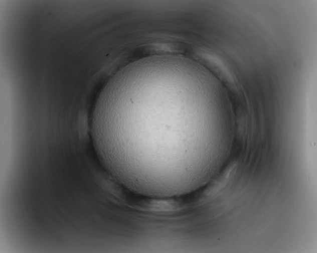 X0000091470457200709241308