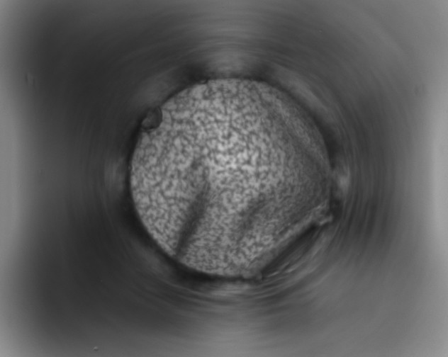 X0000091470458200709241308