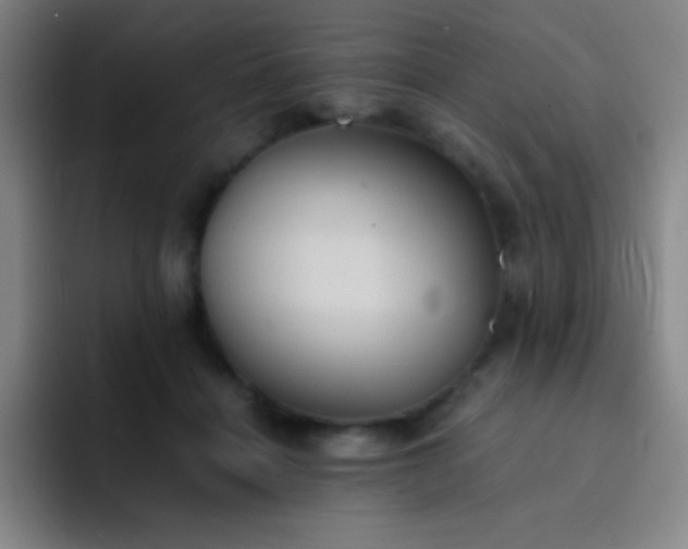 X0000091470460200709241308