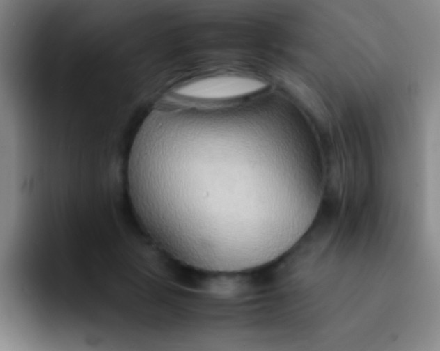 X0000091470461200709241308