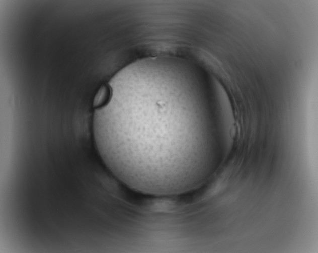 X0000091470462200709241308