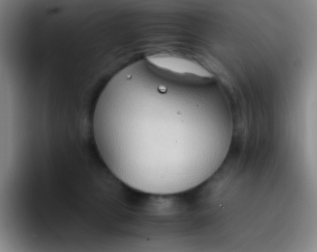 X0000091470469200709241309