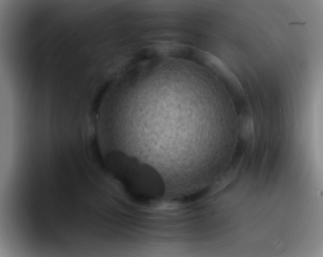 X0000091470471200709241309