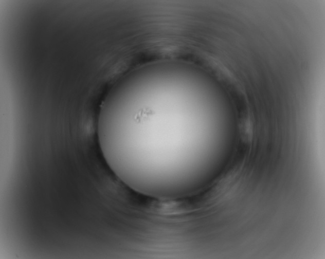 X0000091470472200709241309