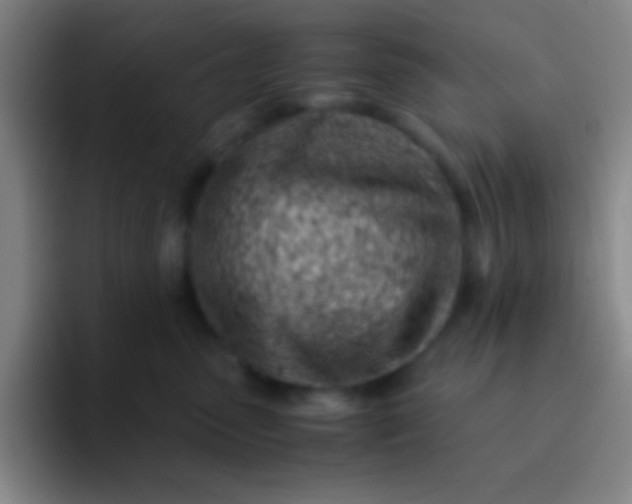 X0000091470475200709241309