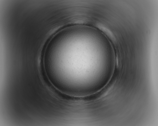 X0000091470483200709241308