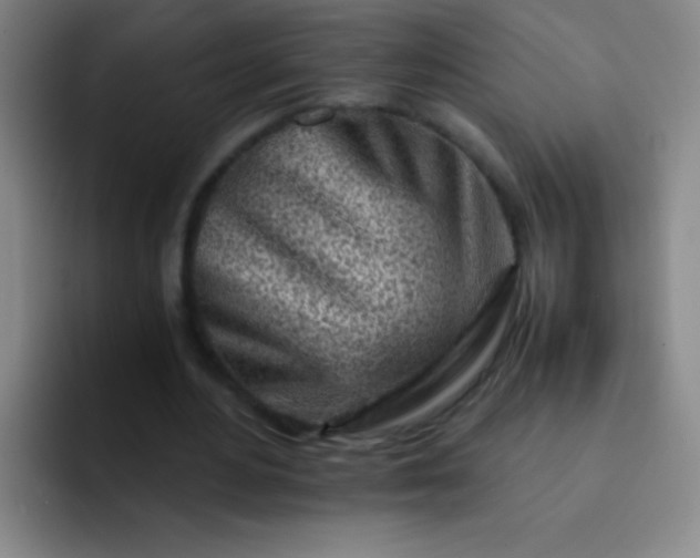 X0000091470484200709241308