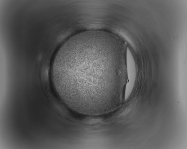 X0000091470491200709241308