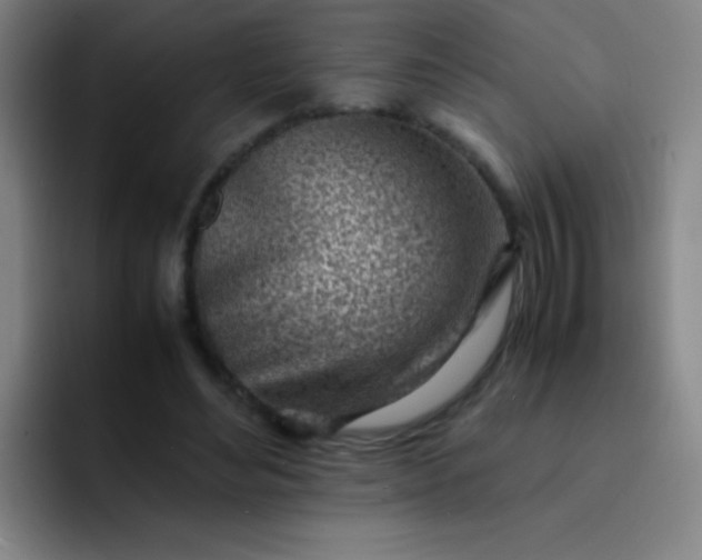 X0000091470492200709241308