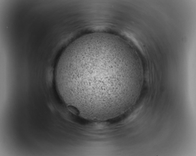 X0000091470495200709241308