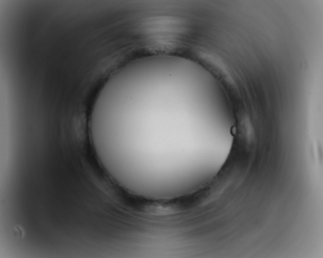 X0000091470498200709241308