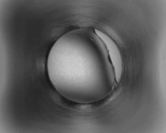 X0000091470501200709241308