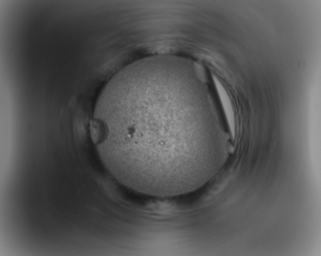 X0000091470503200709241308