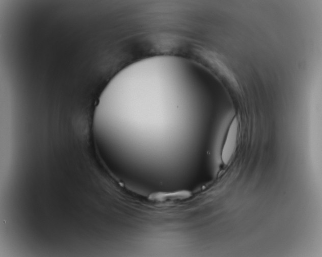 X0000091470505200709241308