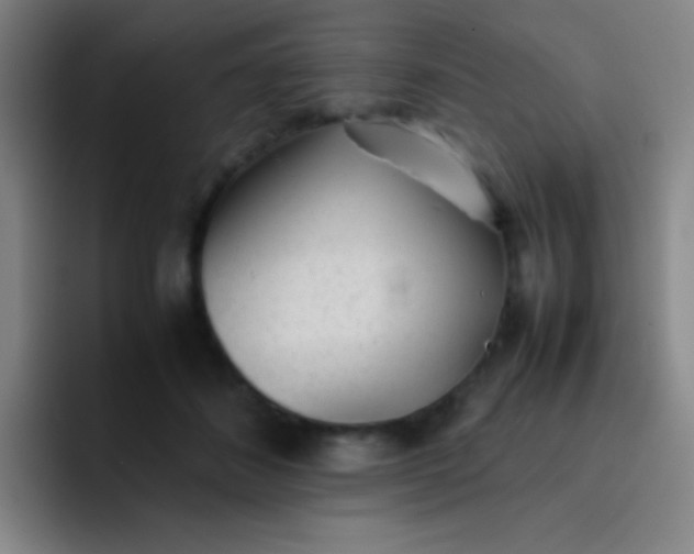 X0000091470508200709241308