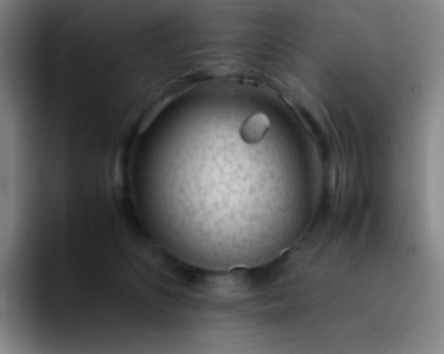 X0000091470516200709241308