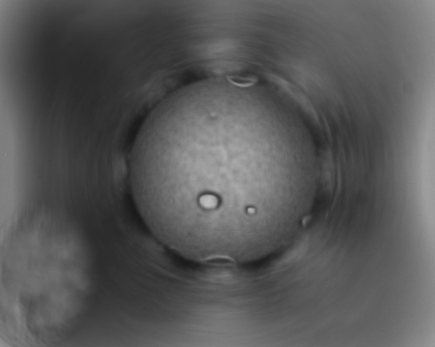 X0000091470523200709241308