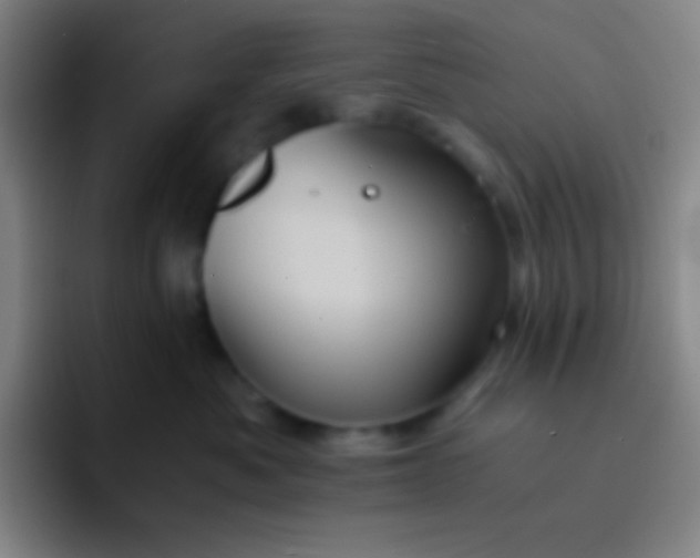 X0000091470525200709241308