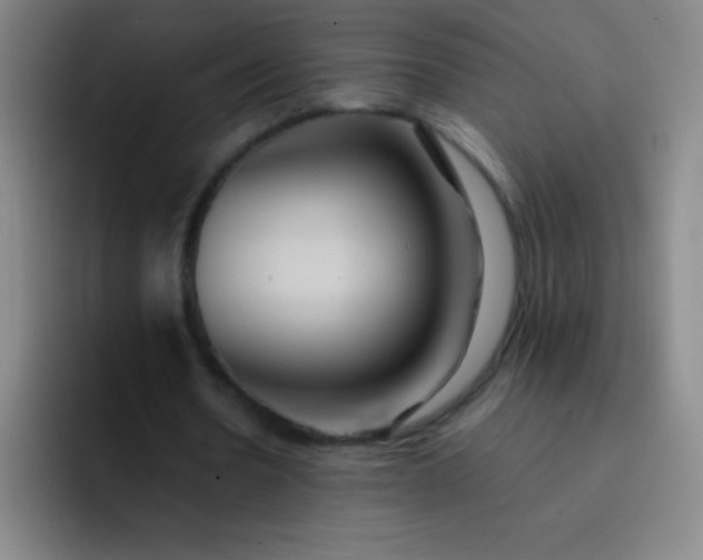 X0000091470530200709241307