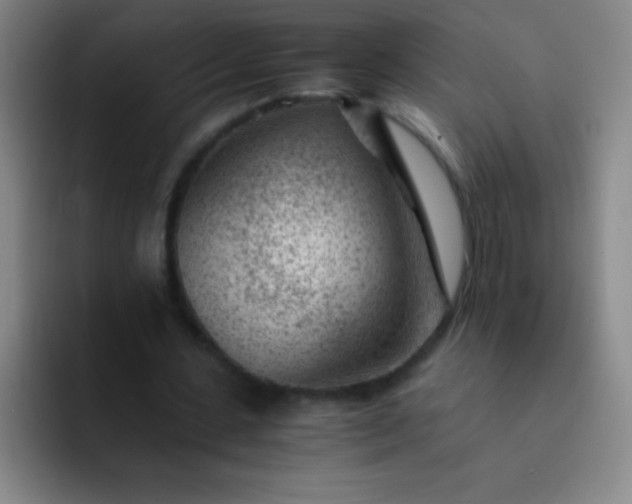 X0000091470531200709241307